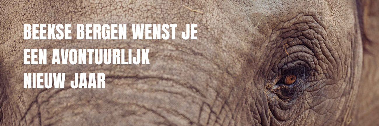 Banner_avontuurlijknieuwjaar_wit_2_1300x435.jpg