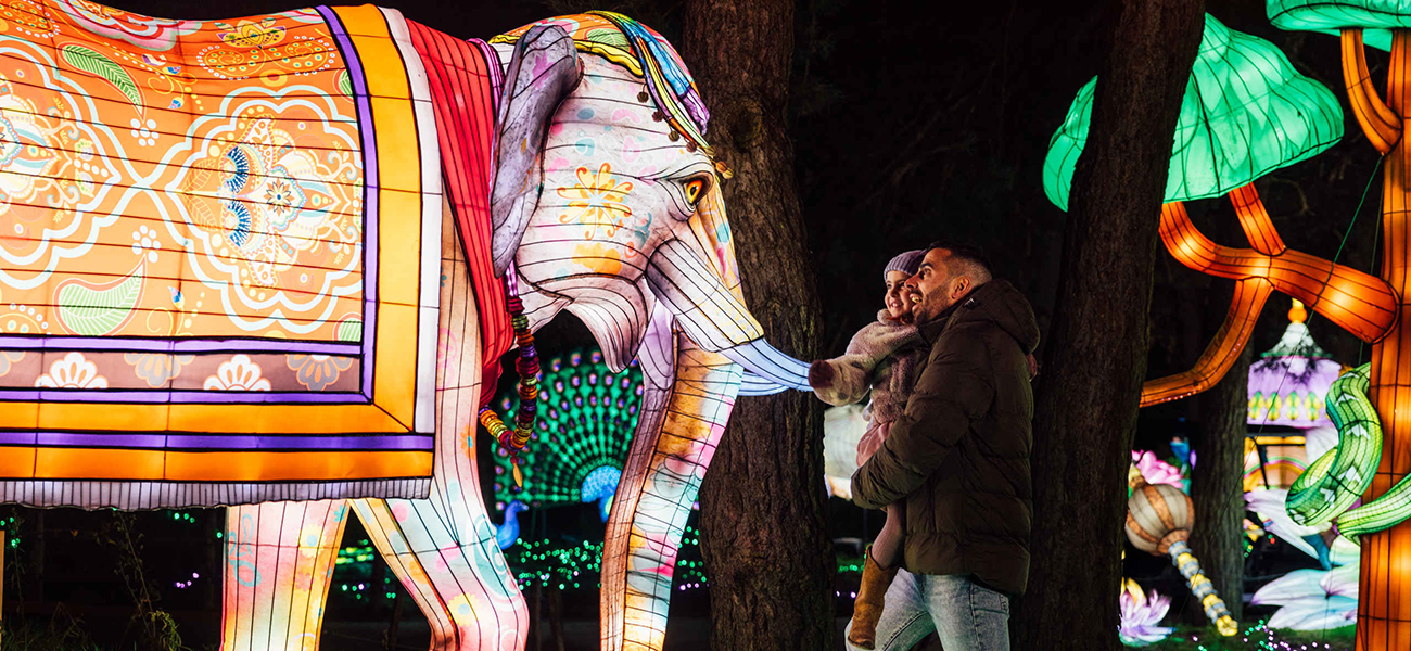 Lightsafari_vader_kind_olifant_1300x600.jpg
