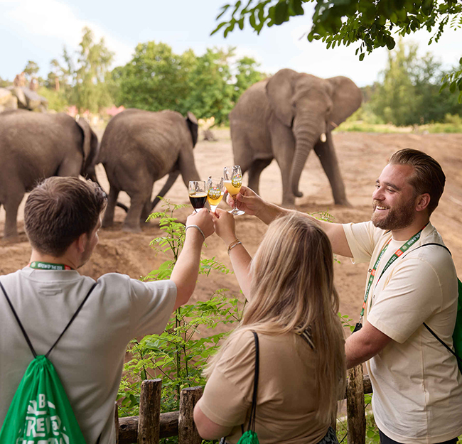 Brew_proosten_olifant_650x625.jpg