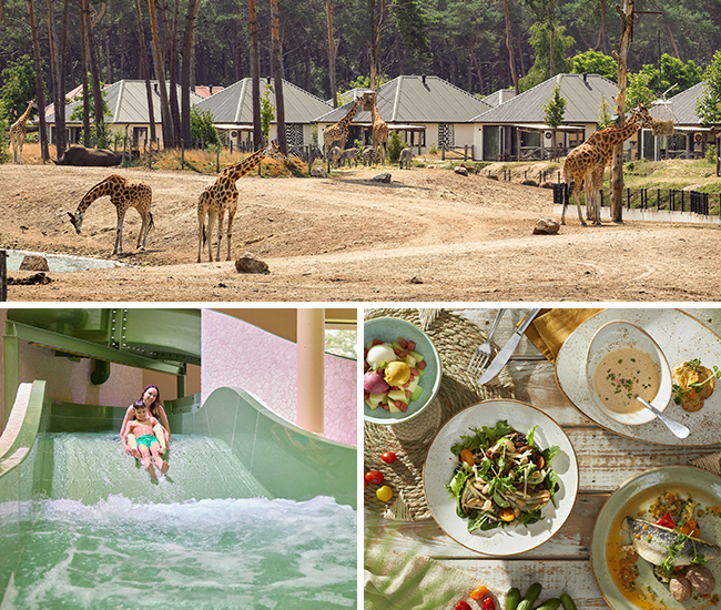 Collage_savanne_zwembad_eten_2_650x550.jpg
