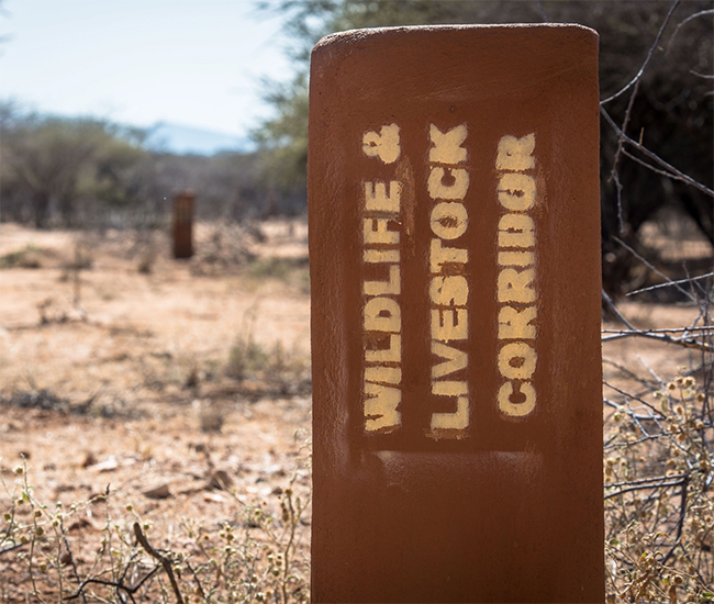 Corridor_bord_kenia_650x550.jpg