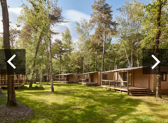 Forest_cabin_doorkliktekens_650x475.jpg
