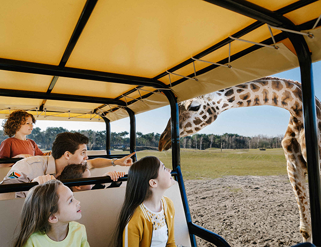 Gamedrive_giraffe_kinderen_ranger_650x500.jpg