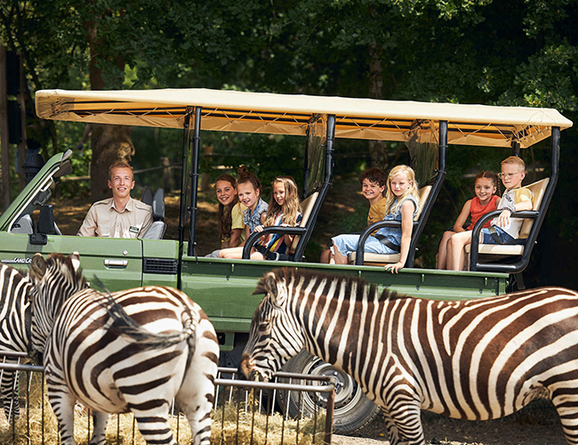 Gamedrive_zebra_kinderen_650x500.jpg