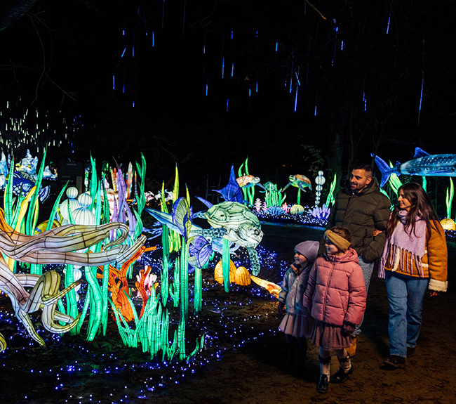 Lightsafari_gezin_lopen_650x575.jpg