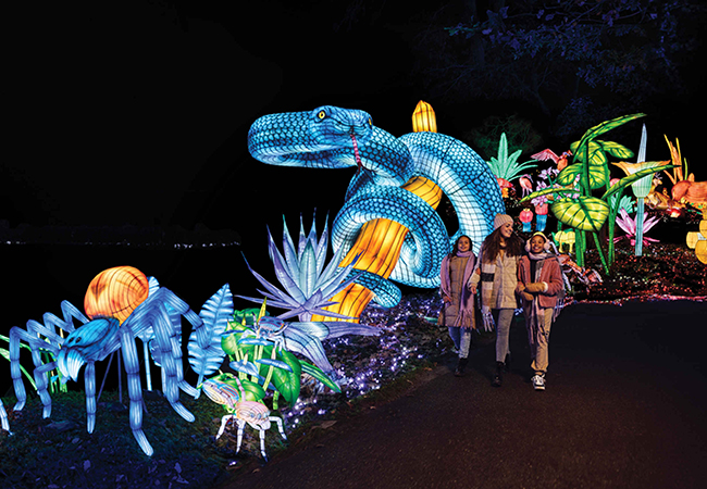 Lightsafari_moeder_kinderen_slang_650x450.jpg