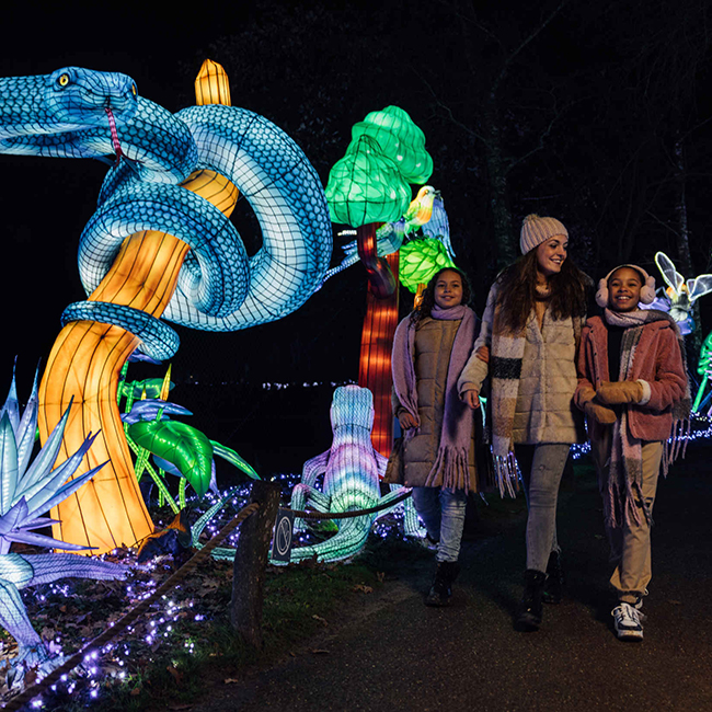 Lightsafari_moeder_kinderen_slang_650x650.jpg
