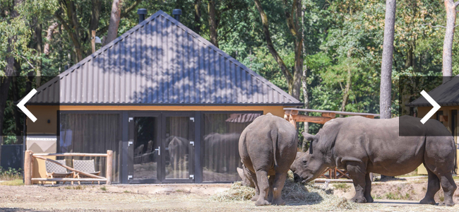 Lodge_neushoorns_doorkliktekens_650x300.jpg