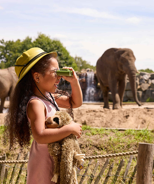 Meisje_verrekijker_olifant_650x775.jpg