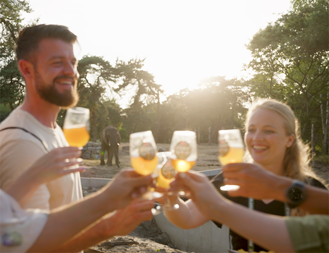 Proosten_brew_olifant_650x500.png