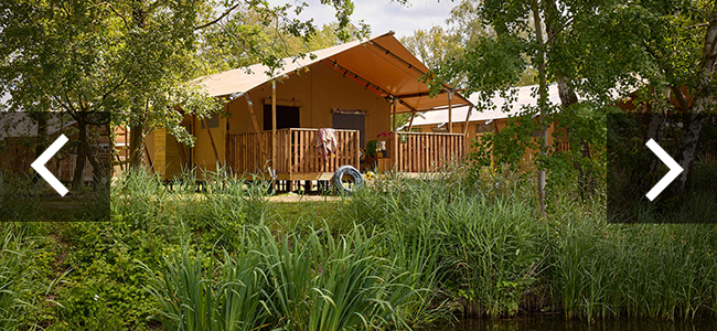 Safaritent_darwin_doorkliktekens_650x300.jpg