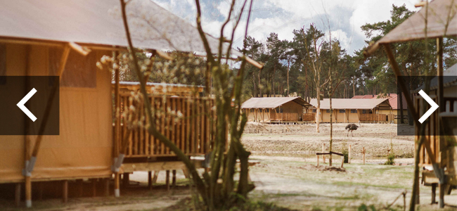 Safaritent_safariresort_doorklik_650x300.jpg