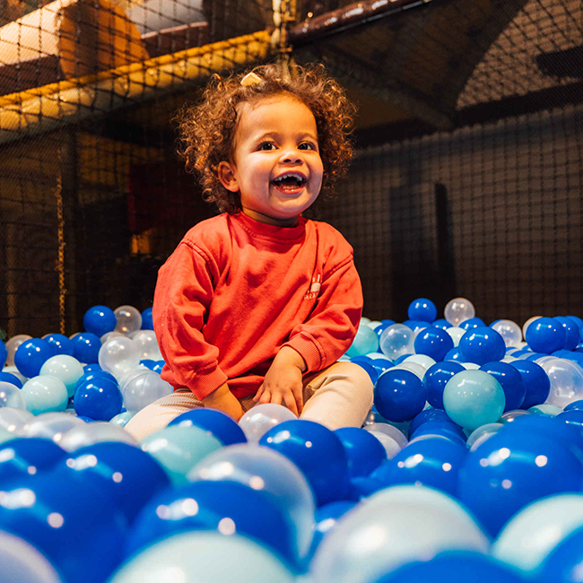 Speellandindoor_ballenbak_650x650.jpg
